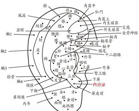 耳背有墨|面相：耳朵有痣算命圖解，全位置對照，看看你是哪一。